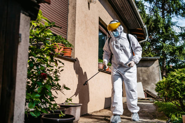 Insect Control in Rosenberg, TX