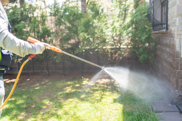 Best Affordable Pest Control Services  in Rosenberg, TX